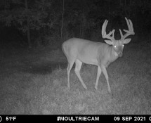 MOULTRIE DIGITAL GAME CAMERA