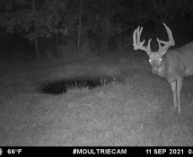 MOULTRIE DIGITAL GAME CAMERA