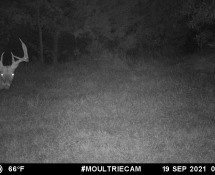 MOULTRIE DIGITAL GAME CAMERA