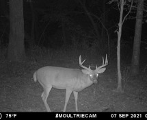 MOULTRIE DIGITAL GAME CAMERA